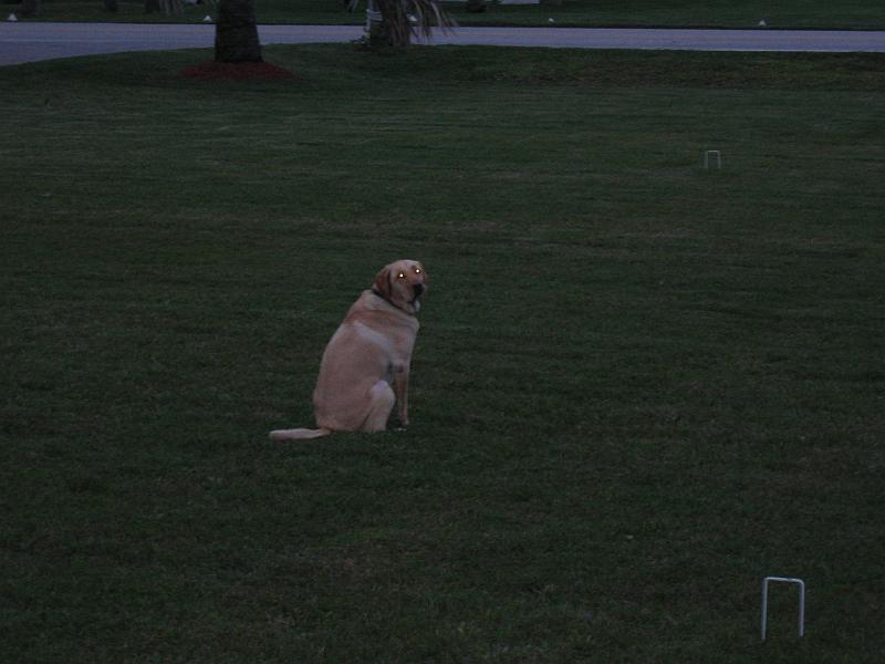 Picture 007